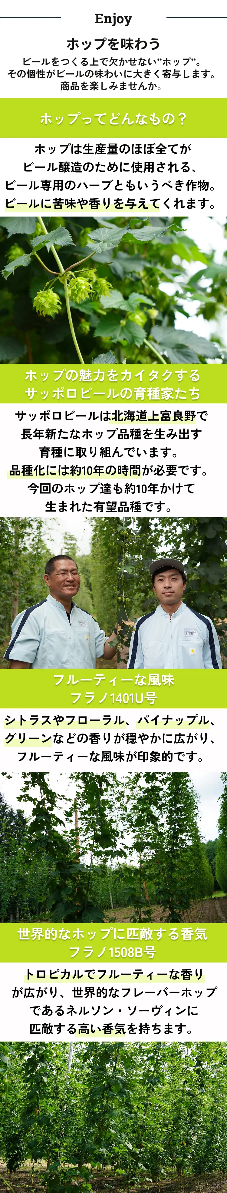 商品の楽しみ方