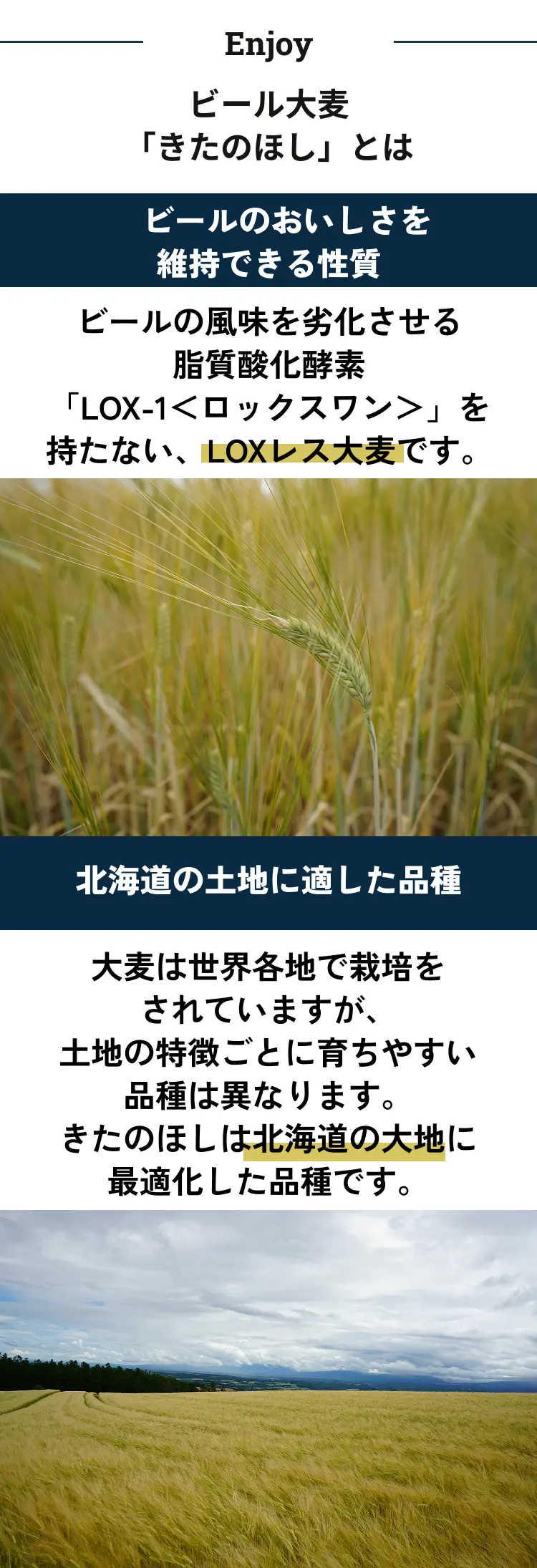 商品の楽しみ方