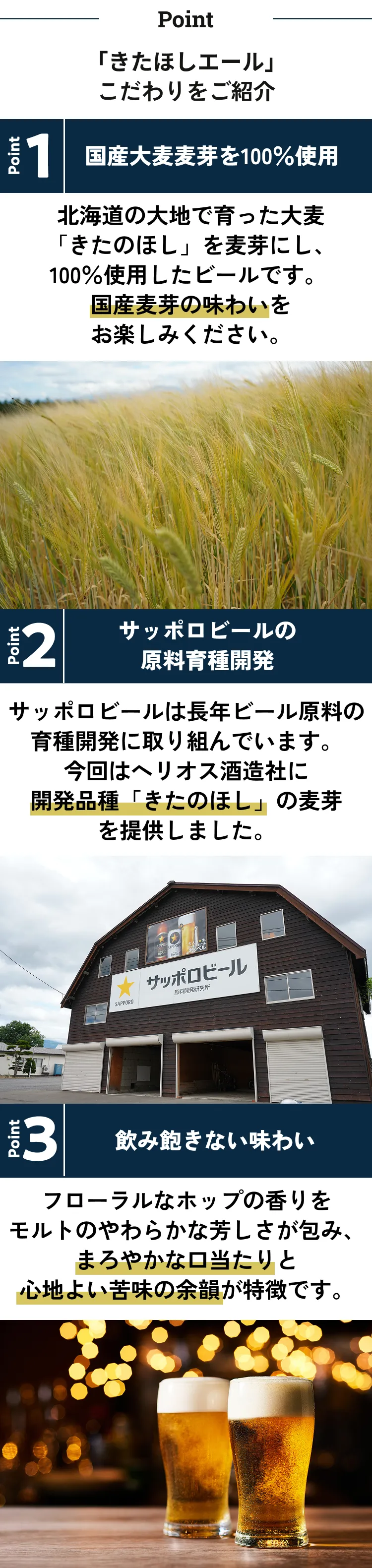 おすすめポイント