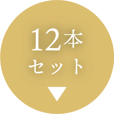 12本セット