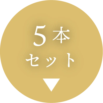 5本セット